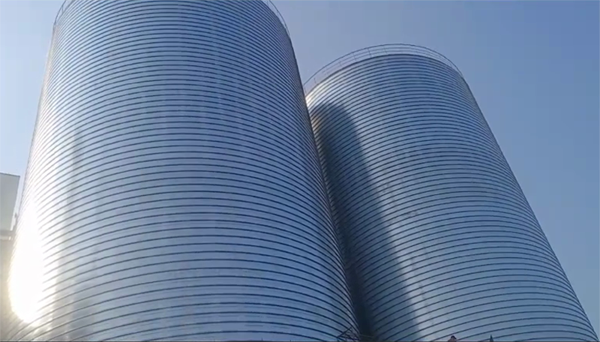 瓦房店2座混凝土高架卷板仓